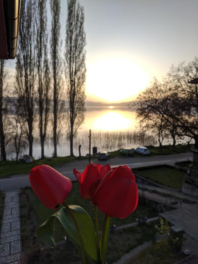 Ajkoski Apartments Peštani المظهر الخارجي الصورة